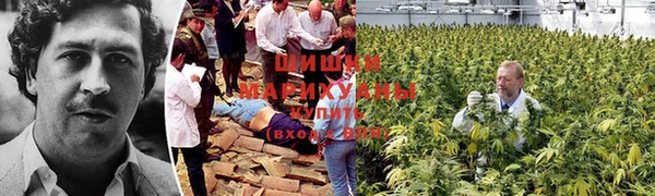 марки lsd Белокуриха