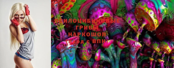 марки lsd Белокуриха