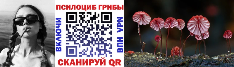 хочу наркоту  Болохово  Псилоцибиновые грибы прущие грибы 